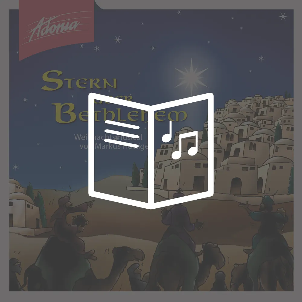 Lieder- und Textheft - Stern über Bethlehem